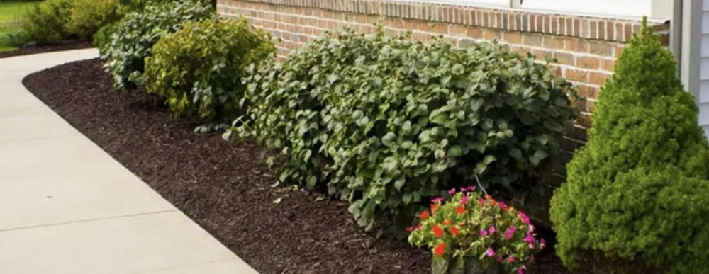 Expert outdoor landscaping for beautiful yards in Urbana, OH by GM Lawncare