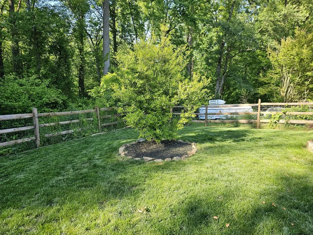 Reliable lawn care service with custom design in New Castle, DE by GM Morales Landscaping