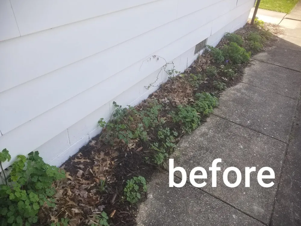 Professional lawn care service experts serving Coatesville, IN - GM Outdoor Solutions