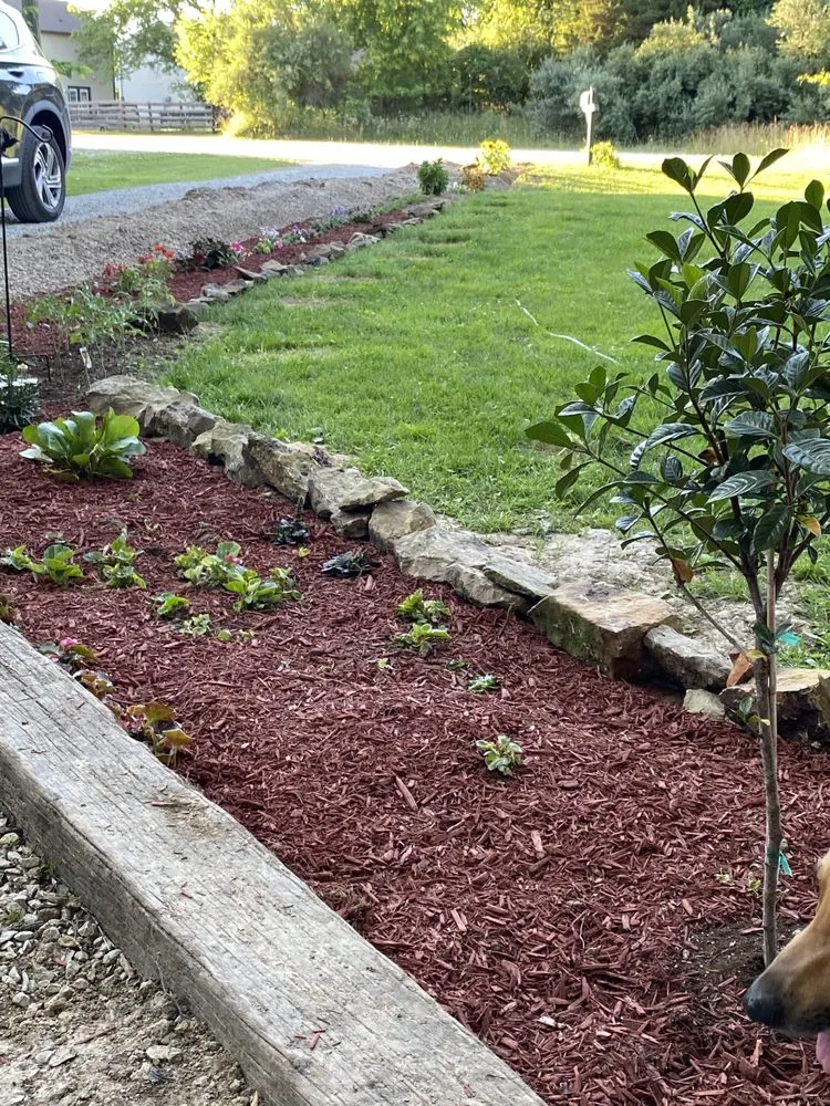 Top-rated yard cleanup service for residential properties across Coatesville, IN - GM Outdoor Solutions