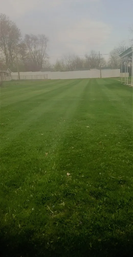 Local yard cleanup service in Coatesville, IN by GM Outdoor Solutions