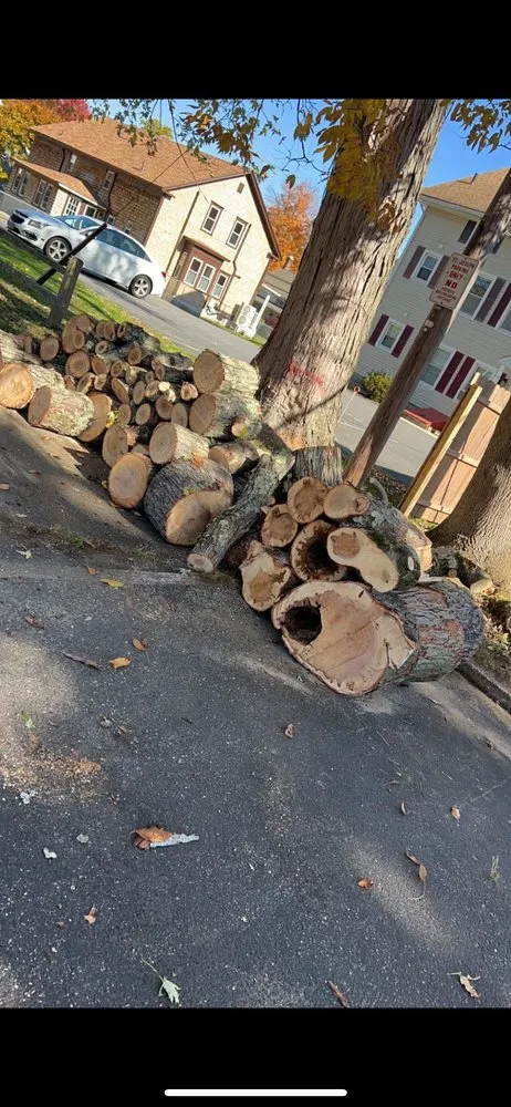 Reliable lawn care service in Attleboro, MA - G&M Property Service