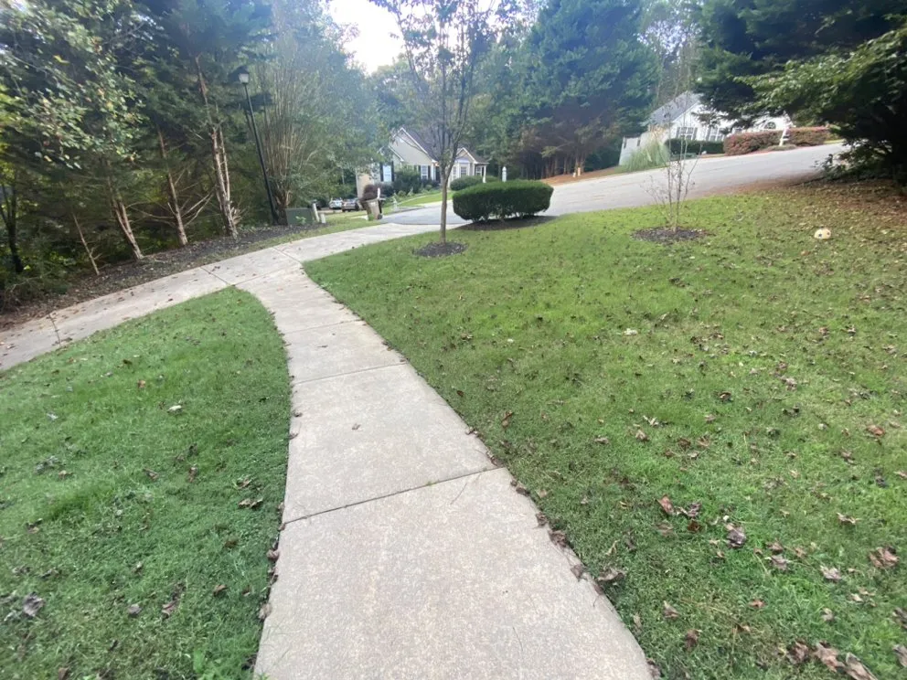 Local yard maintenance in Cumming, GA - GM Services