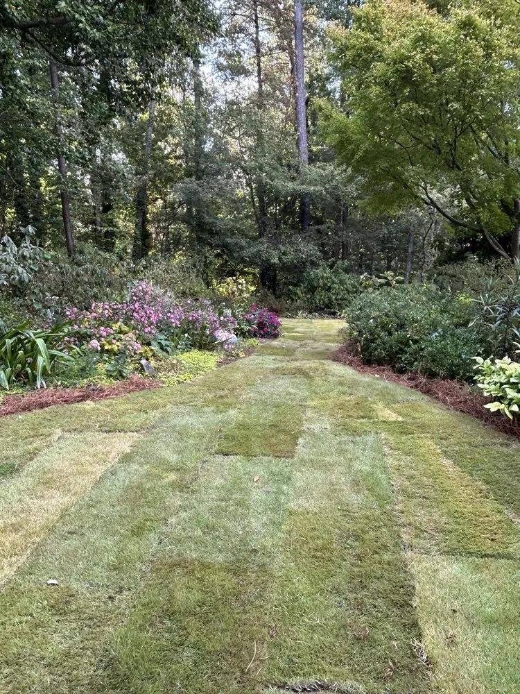 Reliable lawn mowing service for residential properties in Cumming, GA by GM Services