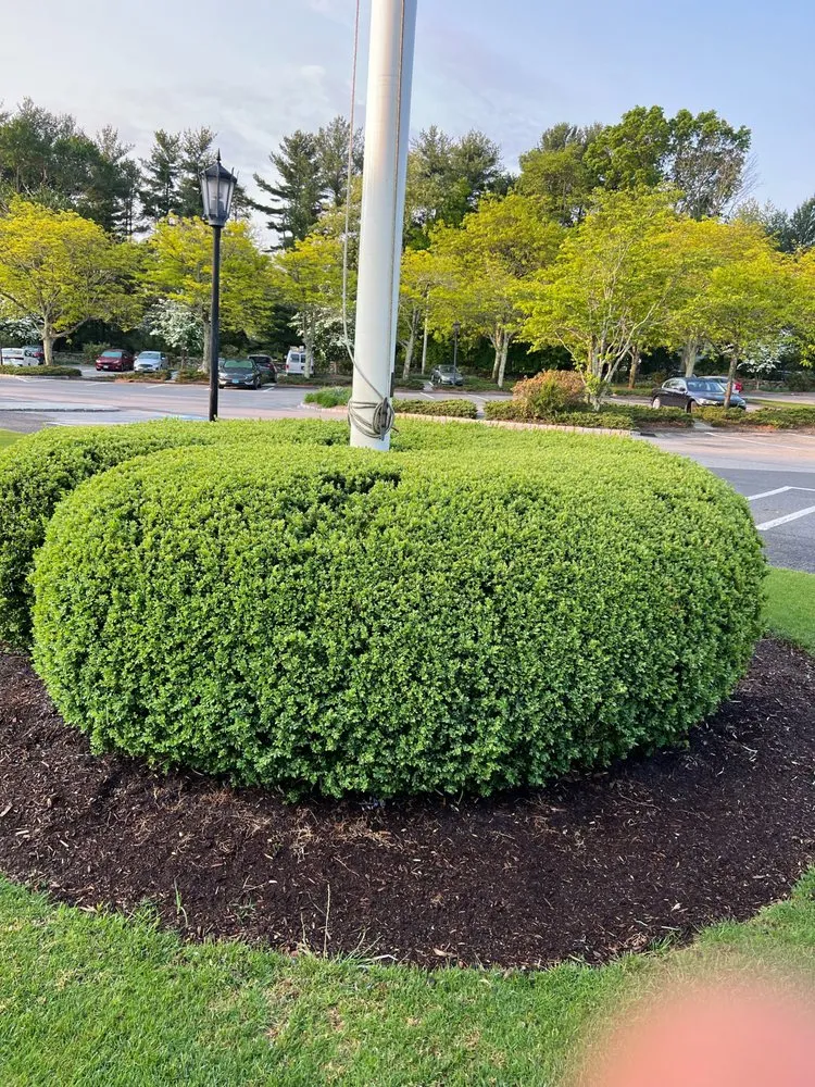 Reliable lawn mowing service in Bridgeport, CT - GM Tree & Landscaping Services