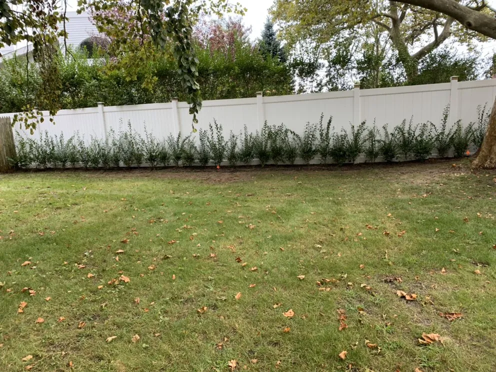 Trusted yard cleanup service for outdoor upgrades across Mastic, NY - GM Turf Care