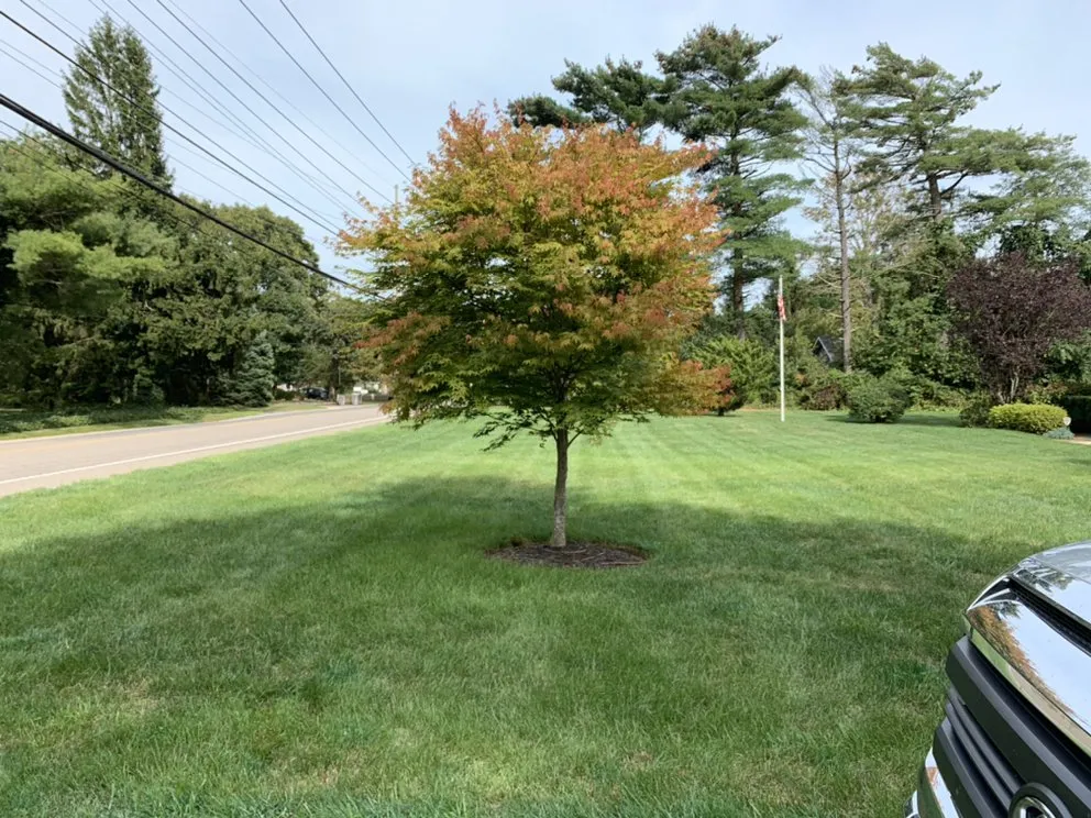 Professional residential landscaping for year-round maintenance across Mastic, NY - GM Turf Care