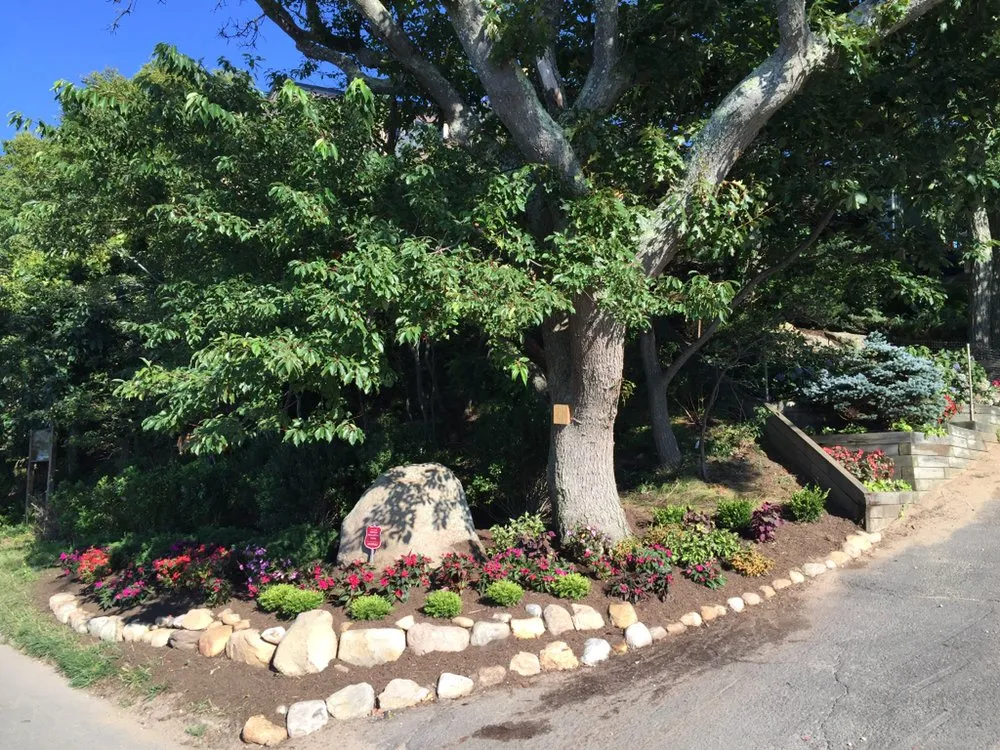 Reliable lawn mowing service in Mastic, NY by GM Turf Care