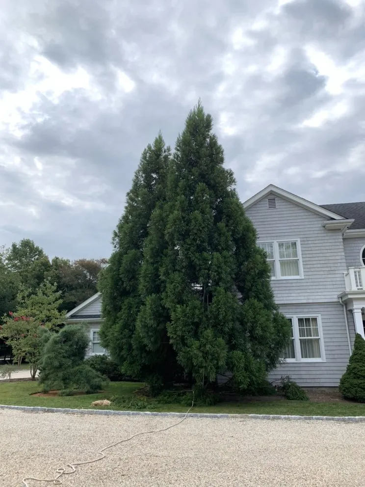 Affordable lawn care service for homes across Mastic, NY - GM Turf Care