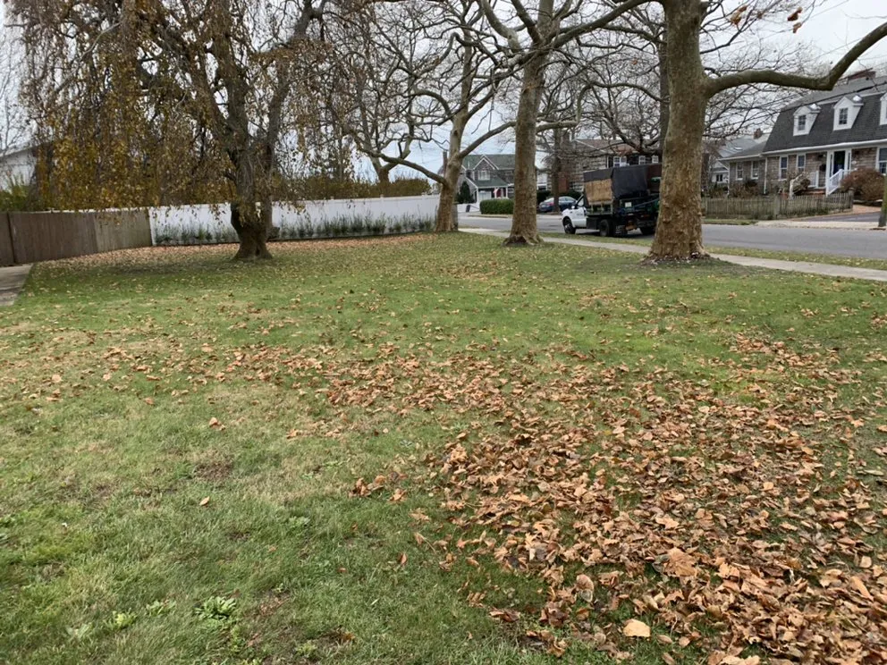 Top-rated residential landscaping for year-round maintenance in Mastic, NY by GM Turf Care