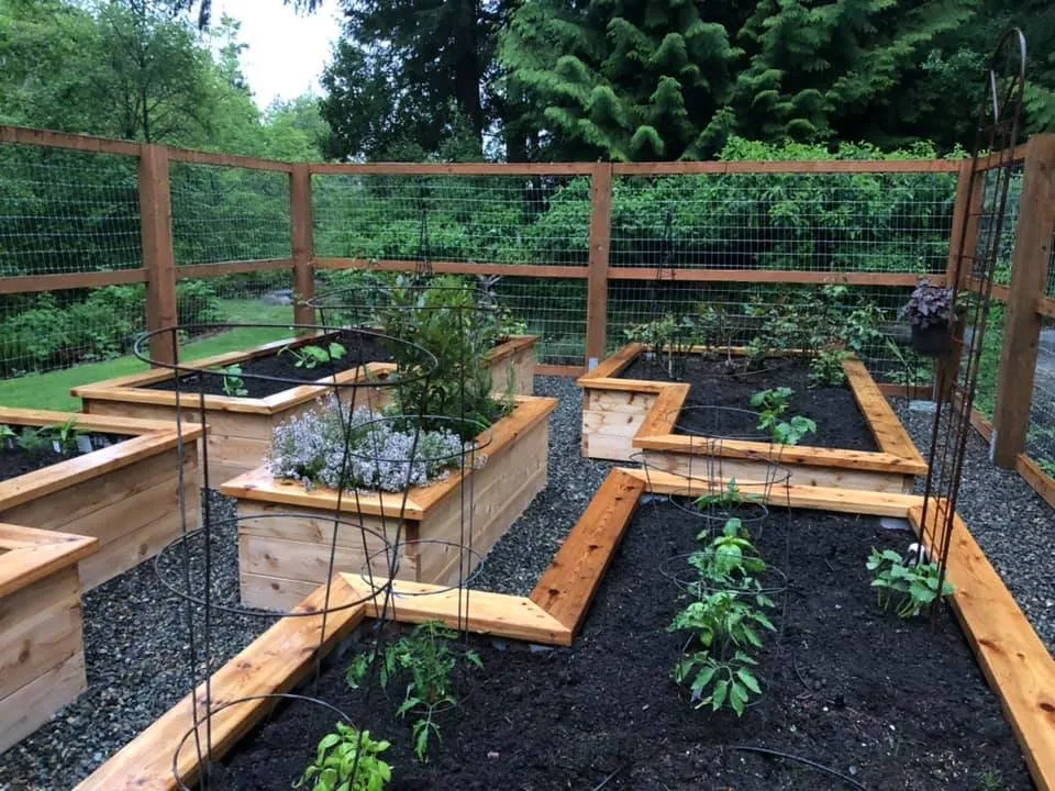 Affordable lawn care service experts serving Seattle, WA - GMC Landscapes