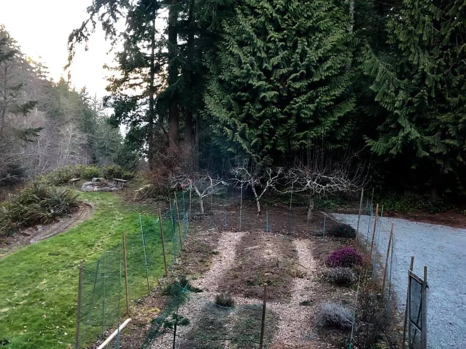 Trusted landscape design with custom design across Seattle, WA - GMC Landscapes