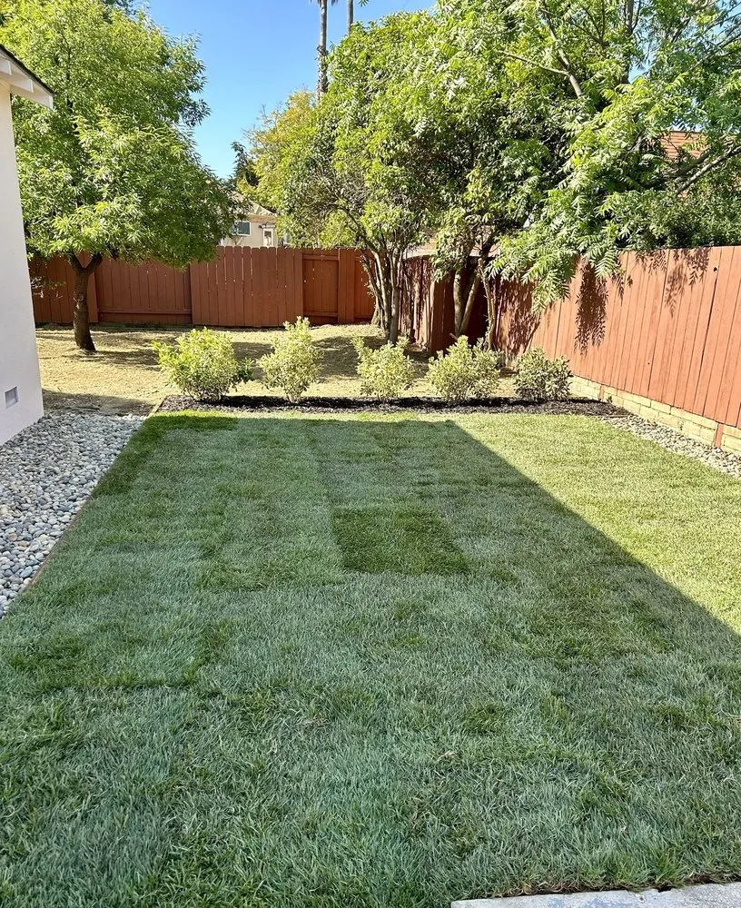 Expert lawn care service experts serving Walnut Creek, CA - GMC Pavers and Landscape