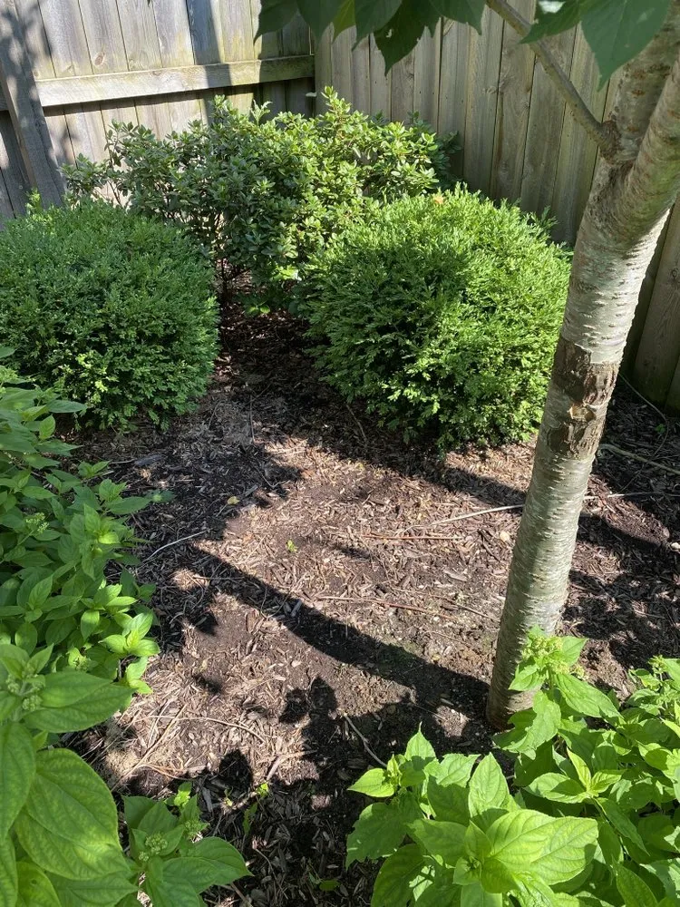 Trusted residential landscaping for beautiful yards across Franklin, MI - GMG Landscaping & Sealcoat Solutions