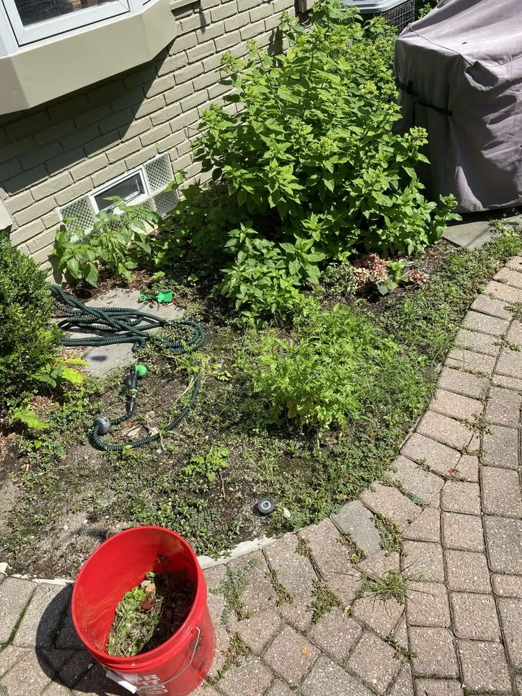 Local lawn mowing service for year-round maintenance in Franklin, MI by GMG Landscaping & Sealcoat Solutions