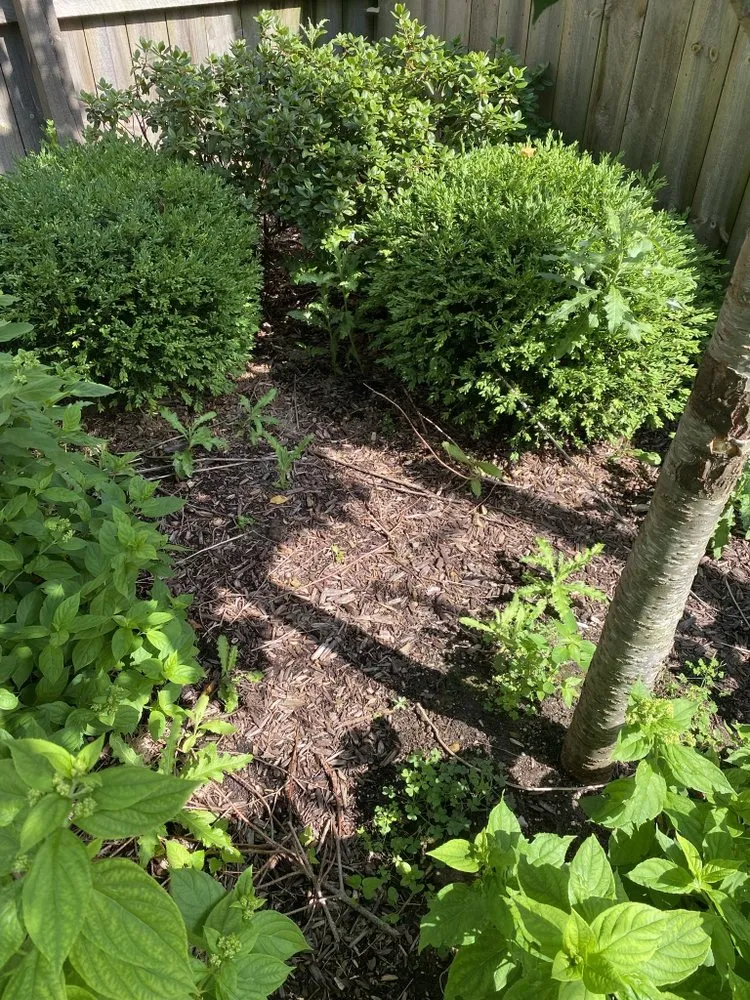 Top-rated landscape installation in Franklin, MI - GMG Landscaping & Sealcoat Solutions