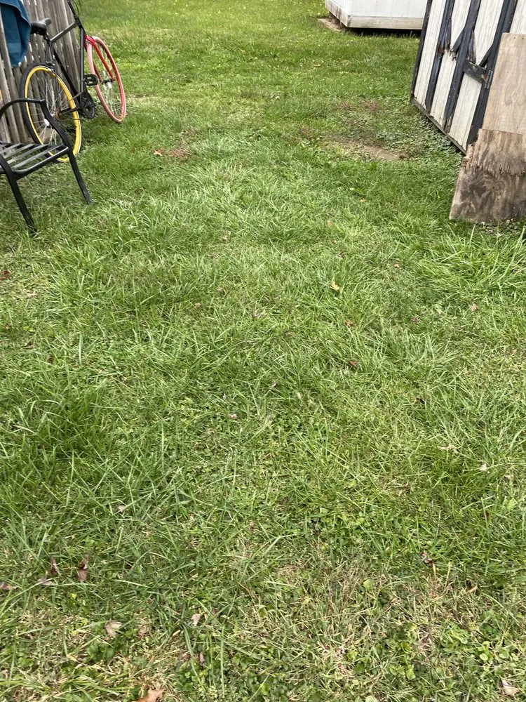 Custom lawn mowing service experts serving Falmouth, KY - GMG Landscaping