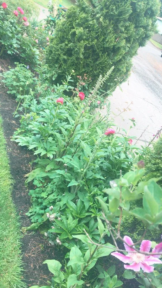 Trusted residential landscaping experts serving Oregon City, OR - GMG Landscaping