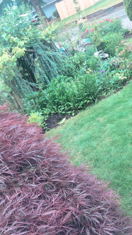 Local landscape design experts serving Oregon City, OR - GMG Landscaping