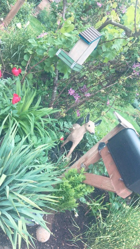 Professional yard cleanup service experts serving Oregon City, OR - GMG Landscaping