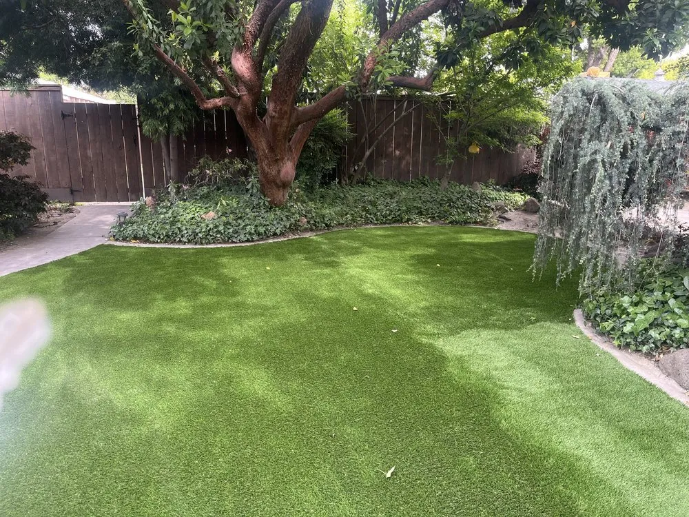Affordable lawn care service for year-round maintenance in Ceres, CA by GMM Landscaping