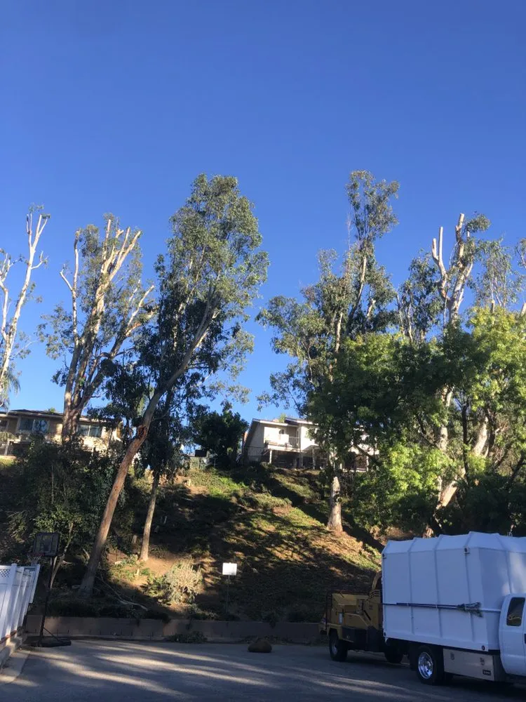 Professional lawn care service in Moorpark, CA by GMS Landscaping