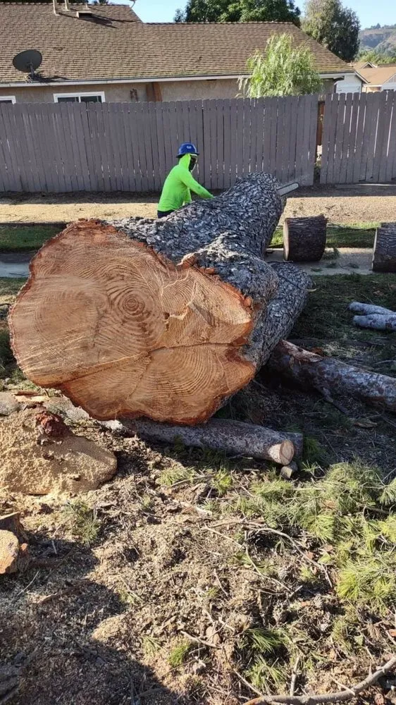 Professional landscape design experts serving Moorpark, CA - GMS Landscaping