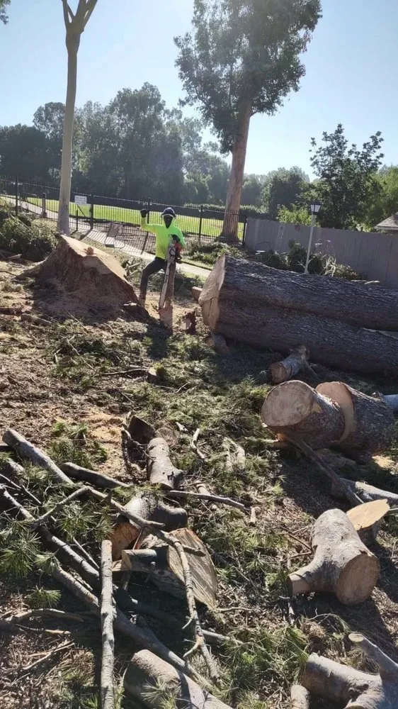 Affordable outdoor landscaping in Moorpark, CA - GMS Landscaping