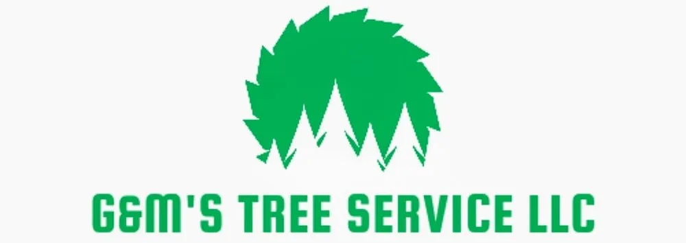 Local yard cleanup service experts serving Shawano, WI - G&Ms Tree Service And Landscaping