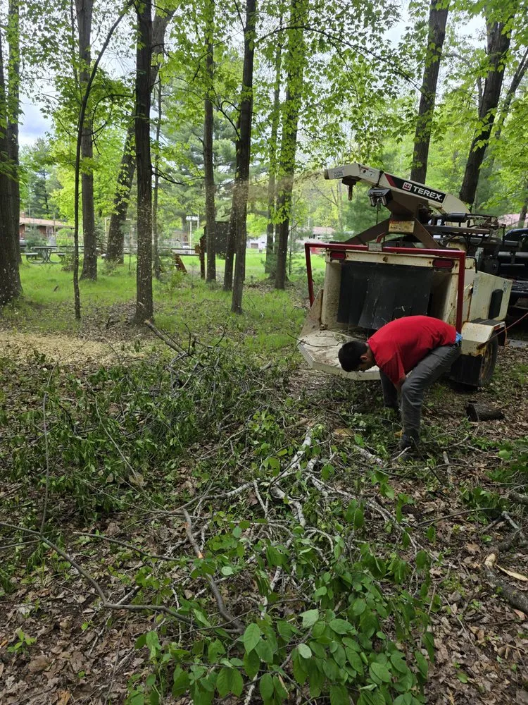 Custom yard maintenance experts serving Shawano, WI - G&Ms Tree Service And Landscaping