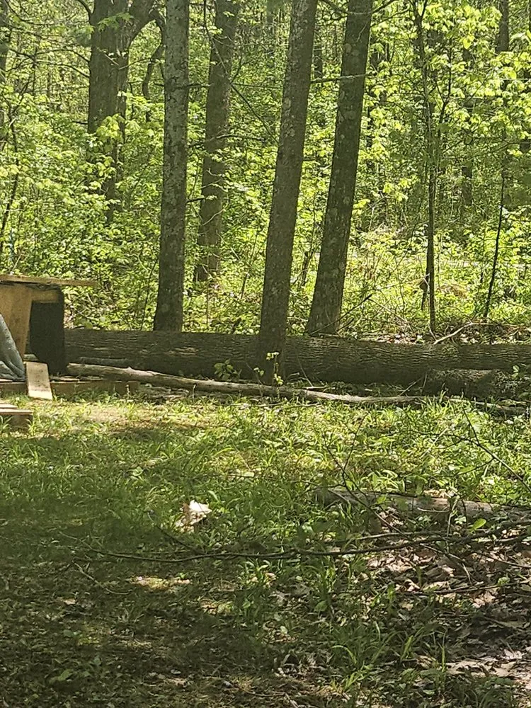 Local garden landscaping near you across Shawano, WI - G&Ms Tree Service And Landscaping