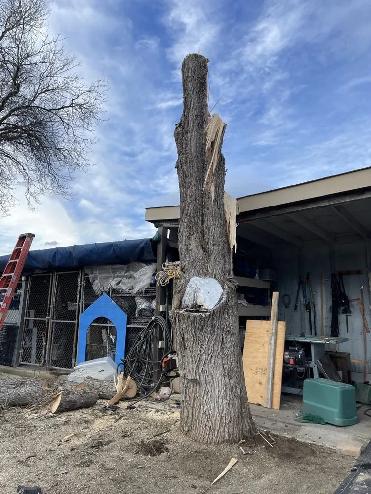 Affordable yard cleanup service in Shady Cove, OR - GMW Handyman