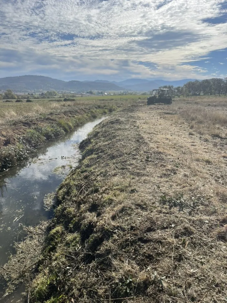 Trusted yard cleanup service in Shady Cove, OR by GMW Handyman