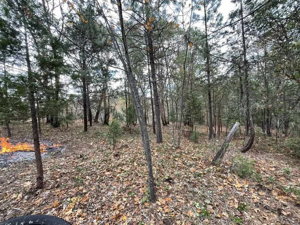 Top-rated outdoor landscaping for homes across Shady Cove, OR - GMW Handyman