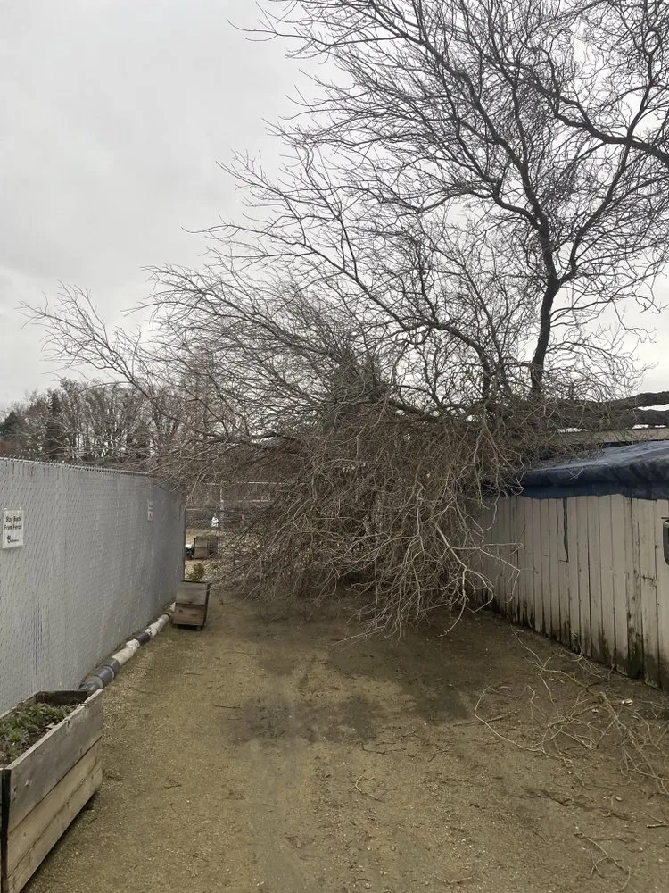 Local outdoor landscaping experts serving Shady Cove, OR - GMW Handyman