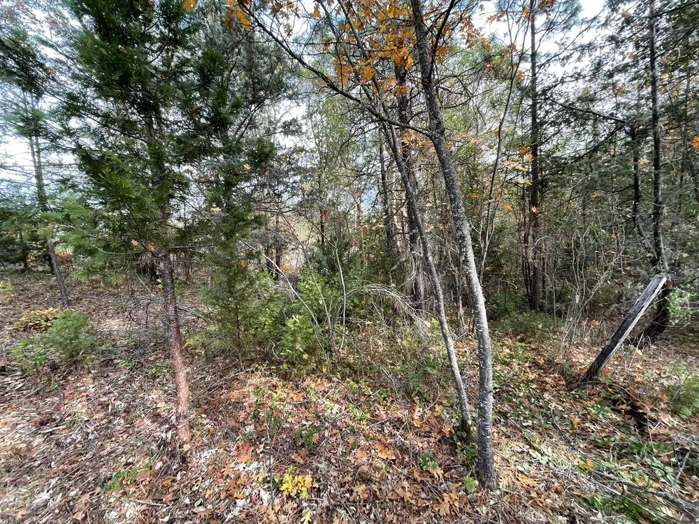 Trusted garden landscaping for beautiful yards in Shady Cove, OR by GMW Handyman