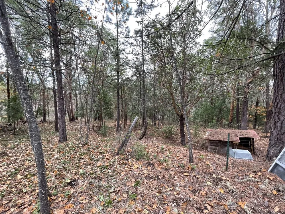 Local landscape design with custom design across Shady Cove, OR - GMW Handyman