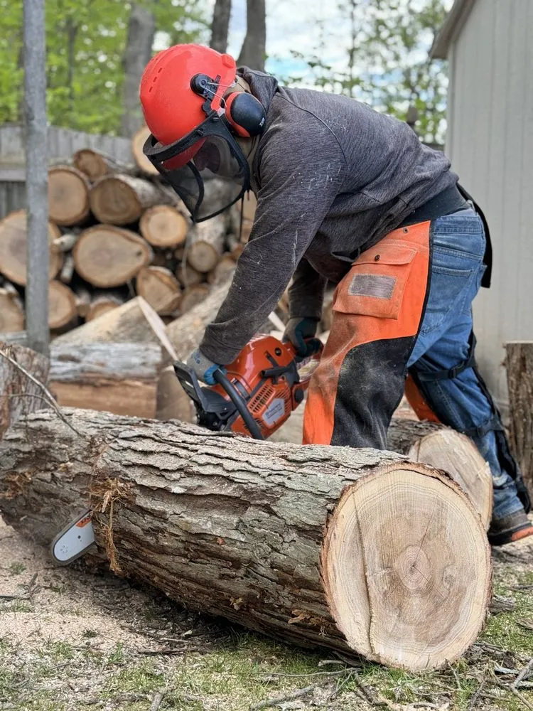 Professional landscaping services in Boston, MA - GMX Tree Services