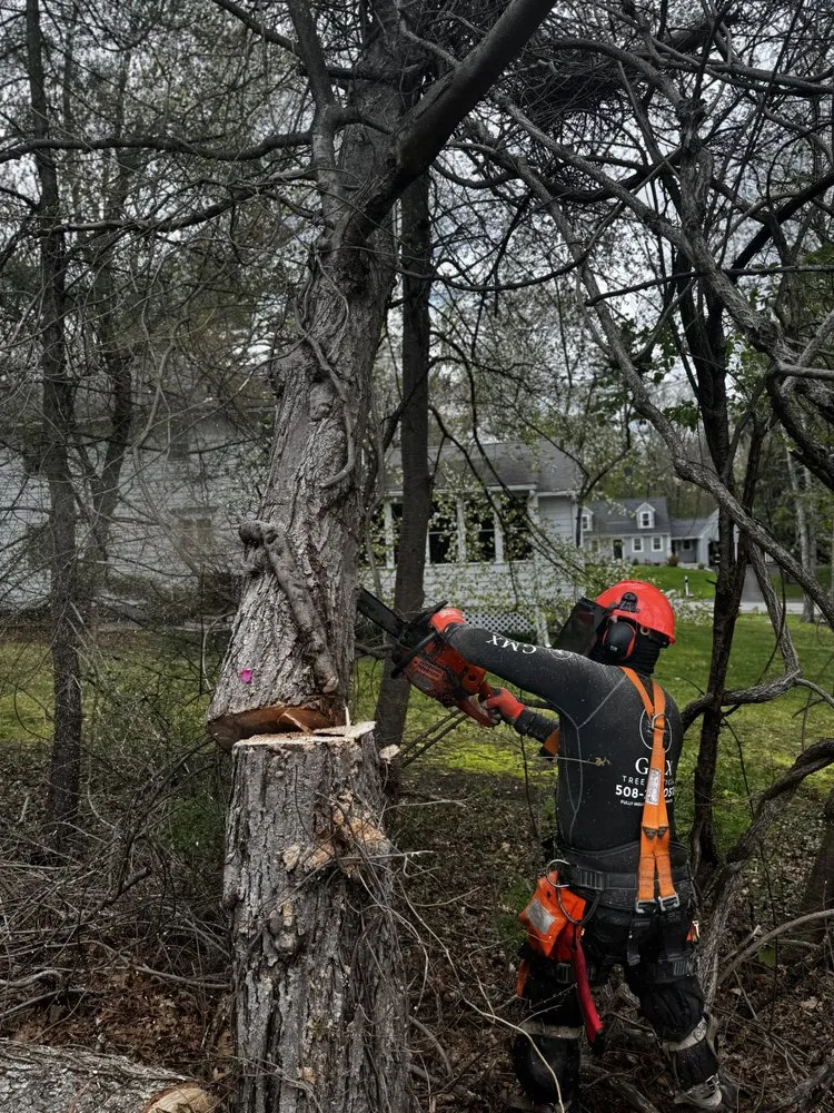 Local yard cleanup service for outdoor upgrades across Boston, MA - GMX Tree Services