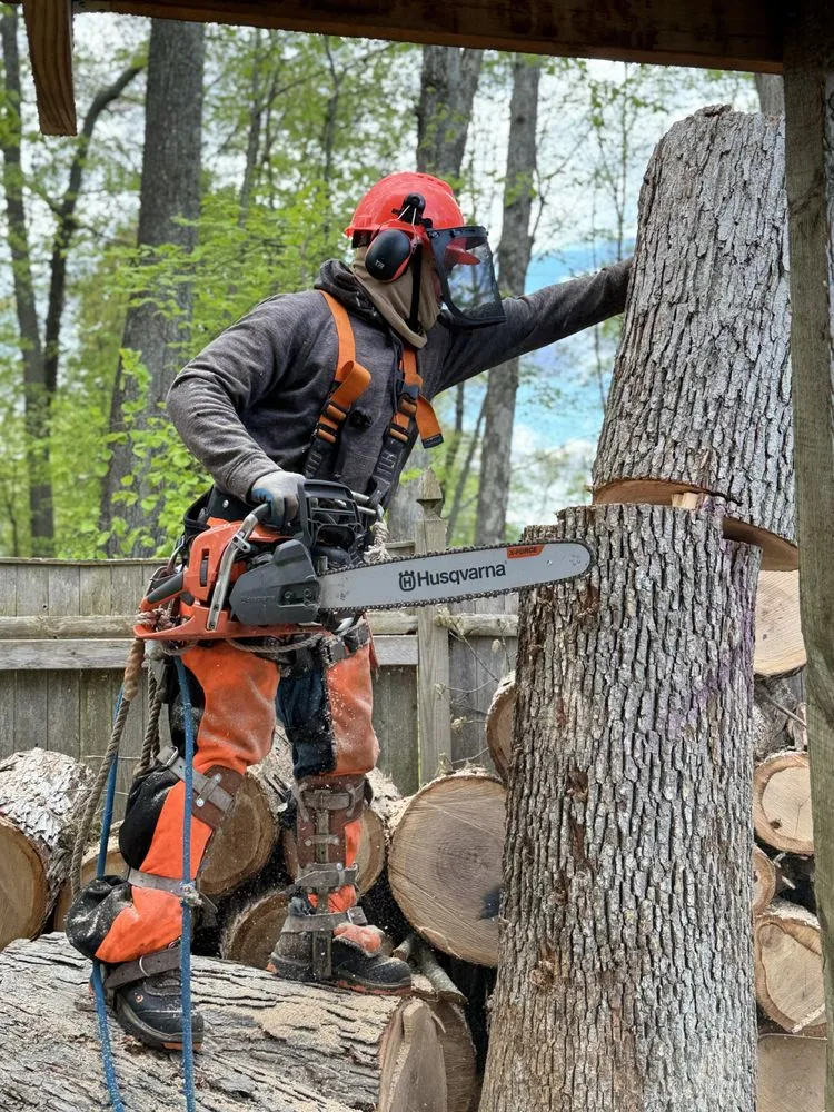 Reliable lawn care service for outdoor upgrades in Boston, MA by GMX Tree Services