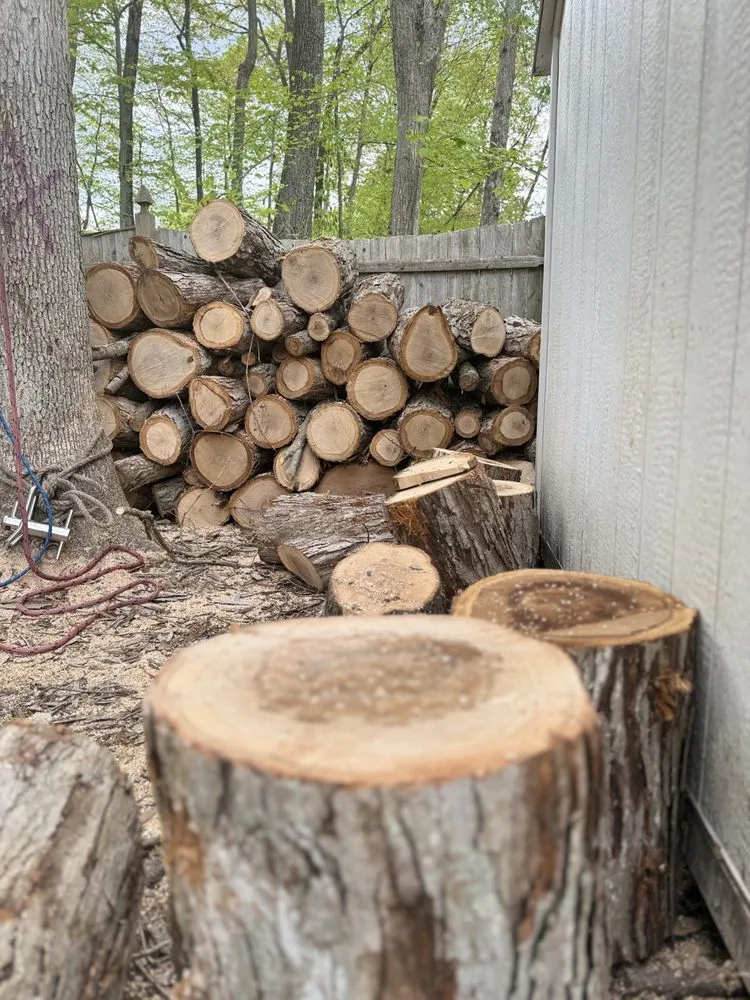 Custom lawn care service for outdoor upgrades in Boston, MA by GMX Tree Services