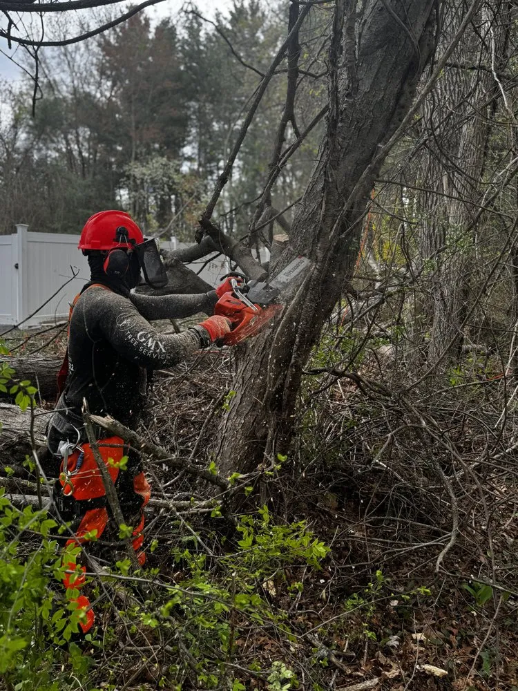 Reliable landscape design for beautiful yards across Boston, MA - GMX Tree Services