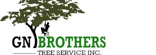 Affordable lawn care service in Lynn, MA by GN Brothers Tree Service