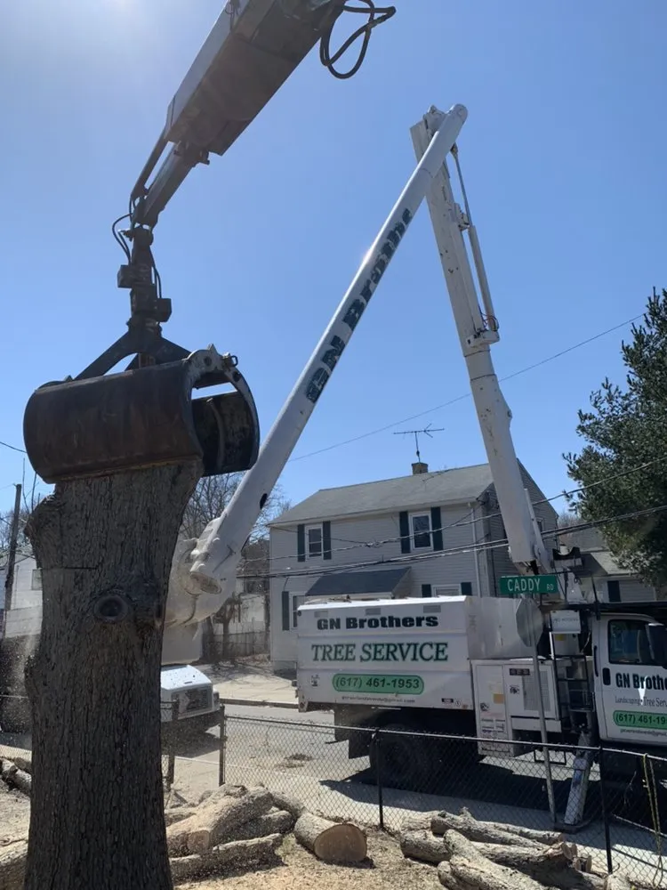 Expert yard maintenance experts serving Lynn, MA - GN Brothers Tree Service
