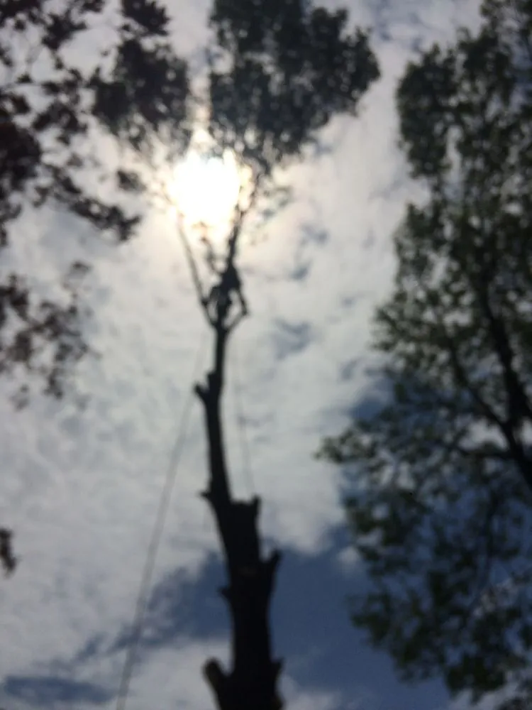 Reliable lawn care service in Lynn, MA by GN Brothers Tree Service