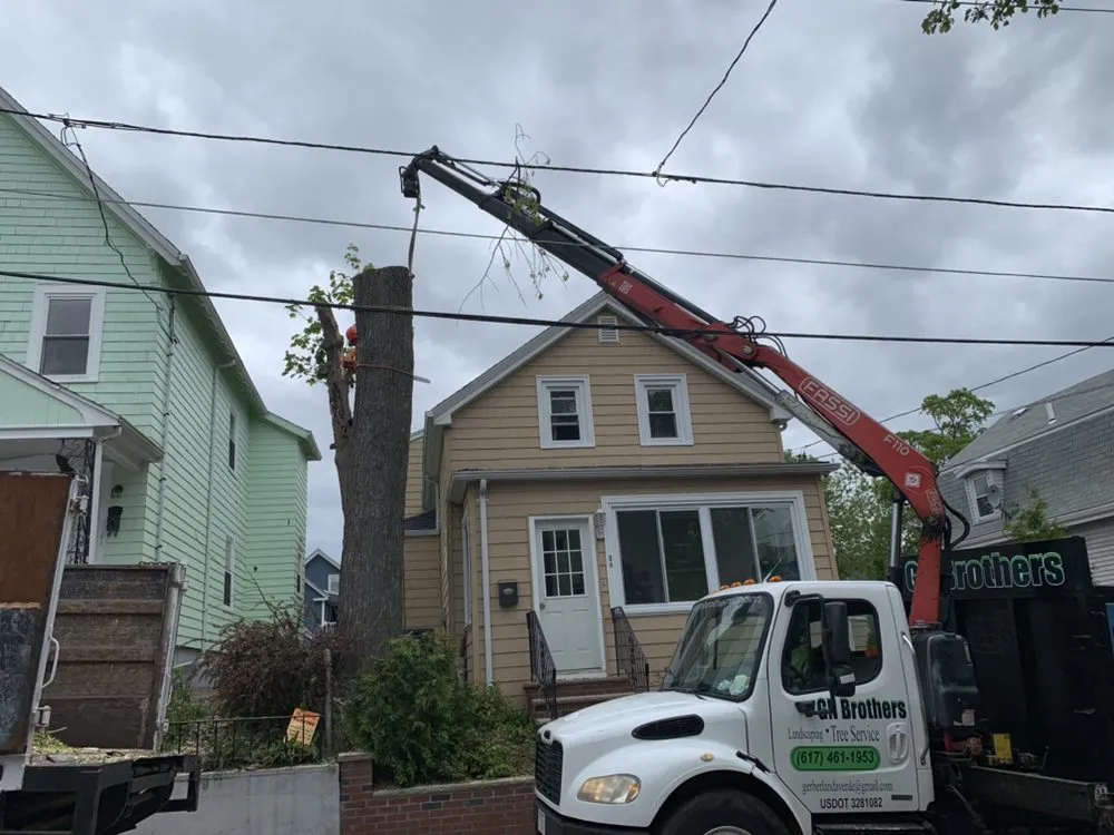 Local yard maintenance experts serving Lynn, MA - GN Brothers Tree Service