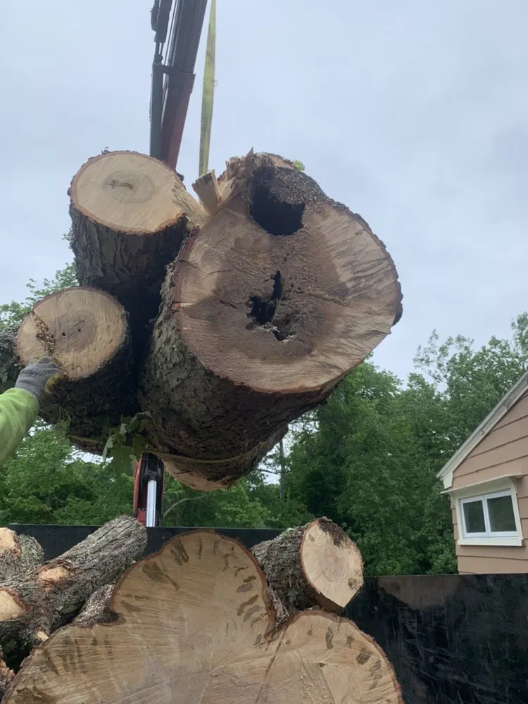 Custom landscaping services in Lynn, MA - GN Brothers Tree Service