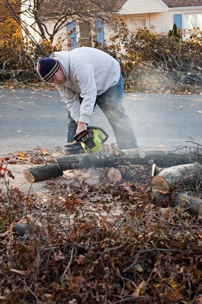 Expert landscaping services experts serving Lynn, MA - GN Brothers Tree Service