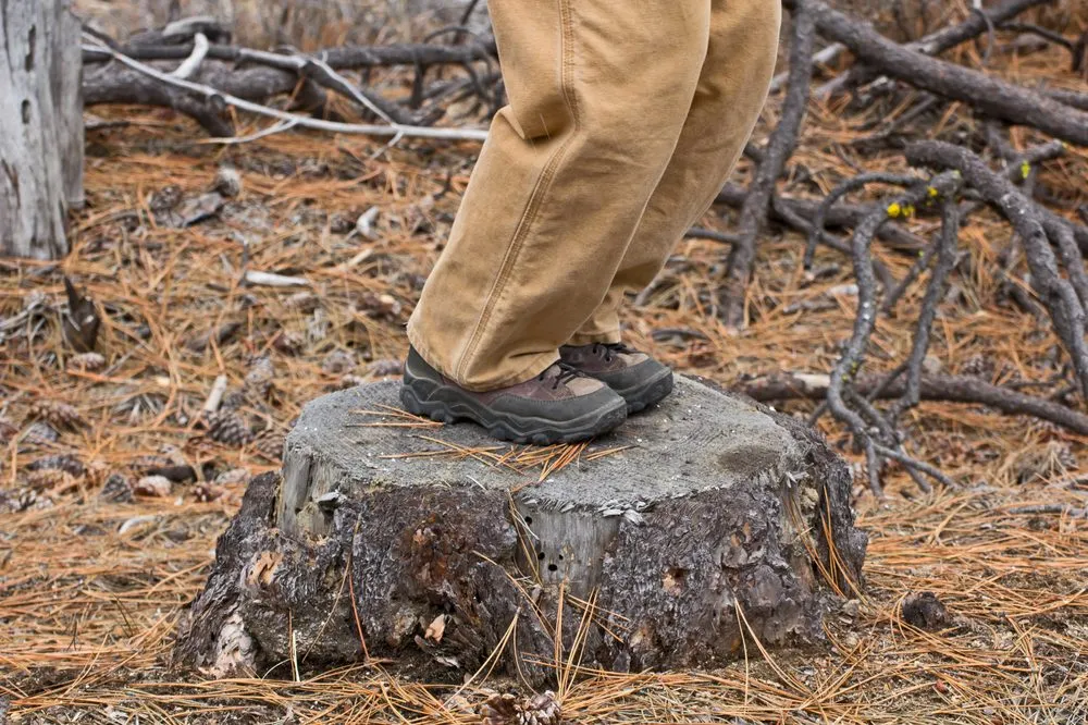 Local lawn mowing service for outdoor upgrades across Lynn, MA - GN Brothers Tree Service