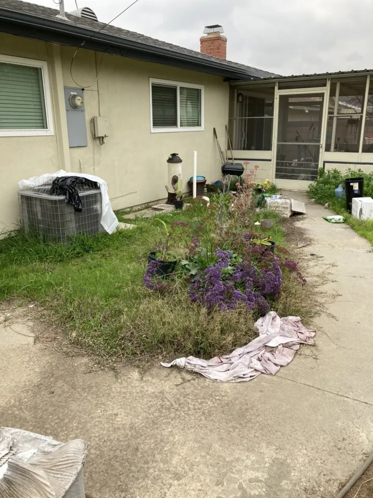 Expert yard cleanup service with custom design in Buena Park, CA by GN Landscape